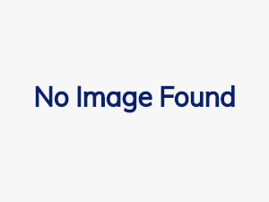 image-search